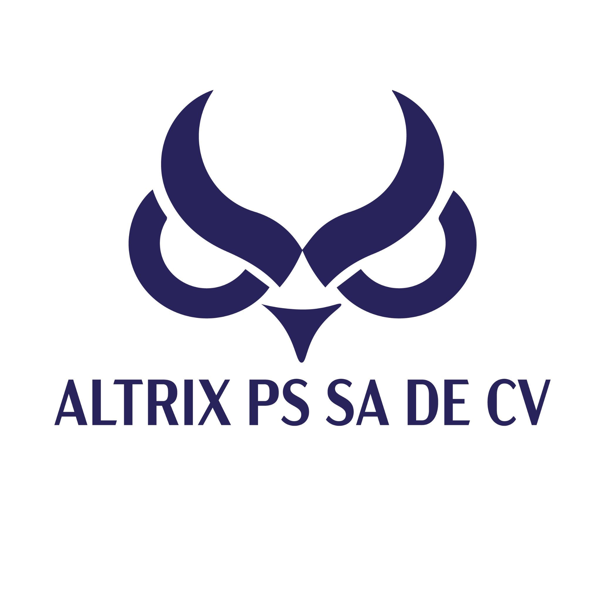 ALTRIX PS S.A. DE C.V.